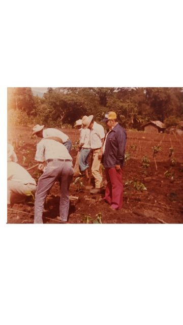 Handpicked with Love