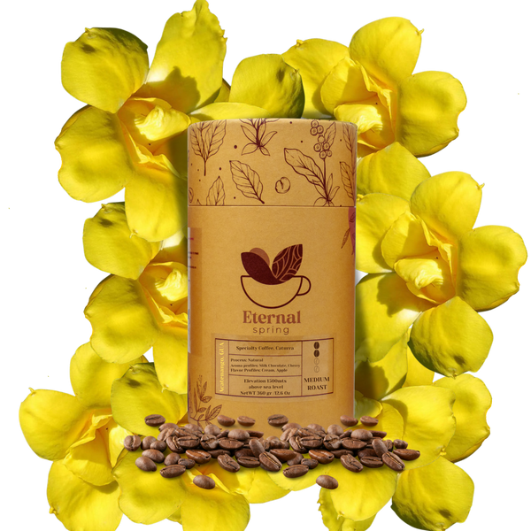 Allamanda Single Origin