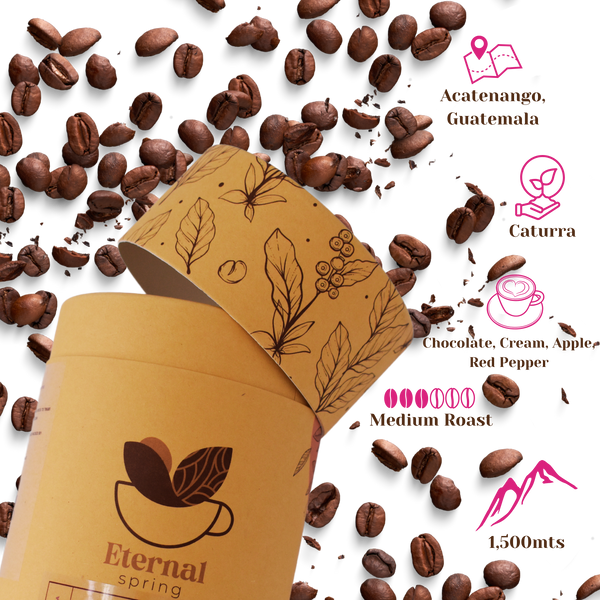 Allamanda Single Origin