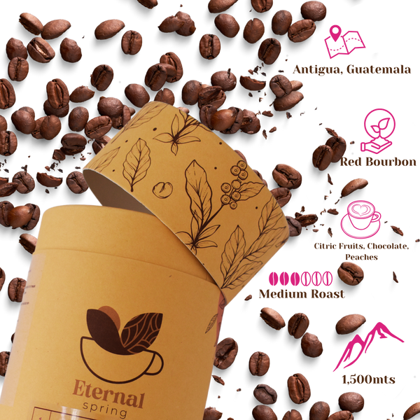 Bugambilia Single Origin