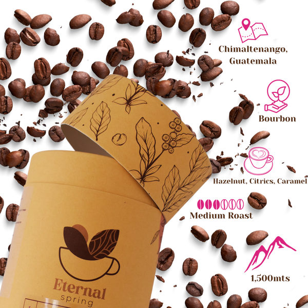 Jacaranda Single Origin